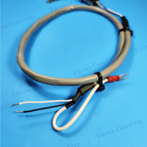 PS-4902-01-XXX Program Enable Switch & Cable